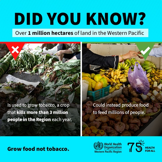 Graphic showing tobacco on one side and food on the other. The image advocates for growing food not tobacco.